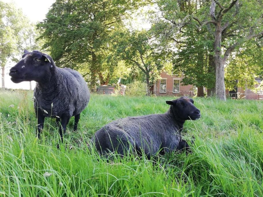 'T Winkeltje - Vakantiehuisje Op Boerderij Huize Blokland Hem Eksteriør bilde
